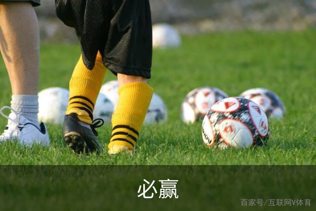 必赢公司简介展示图